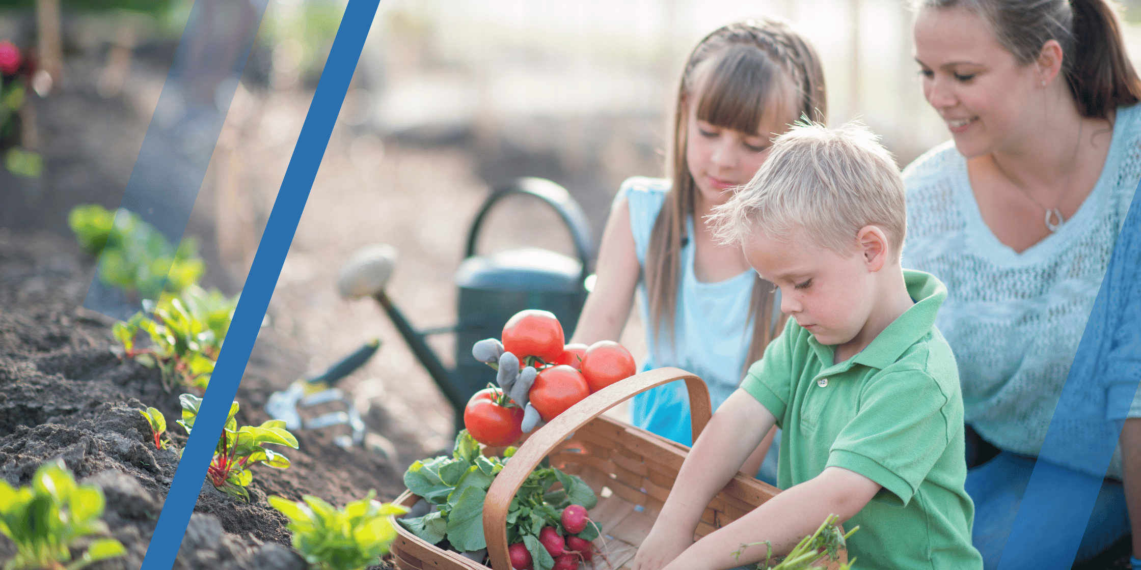 Educating Today’s Children For Tomorrow’s Careers | LeBrun Advisory Group | Rich LeBrun Educating Today's Children For Tomorrow's Careers | LeBrun Advisory Group | Rich LeBrun