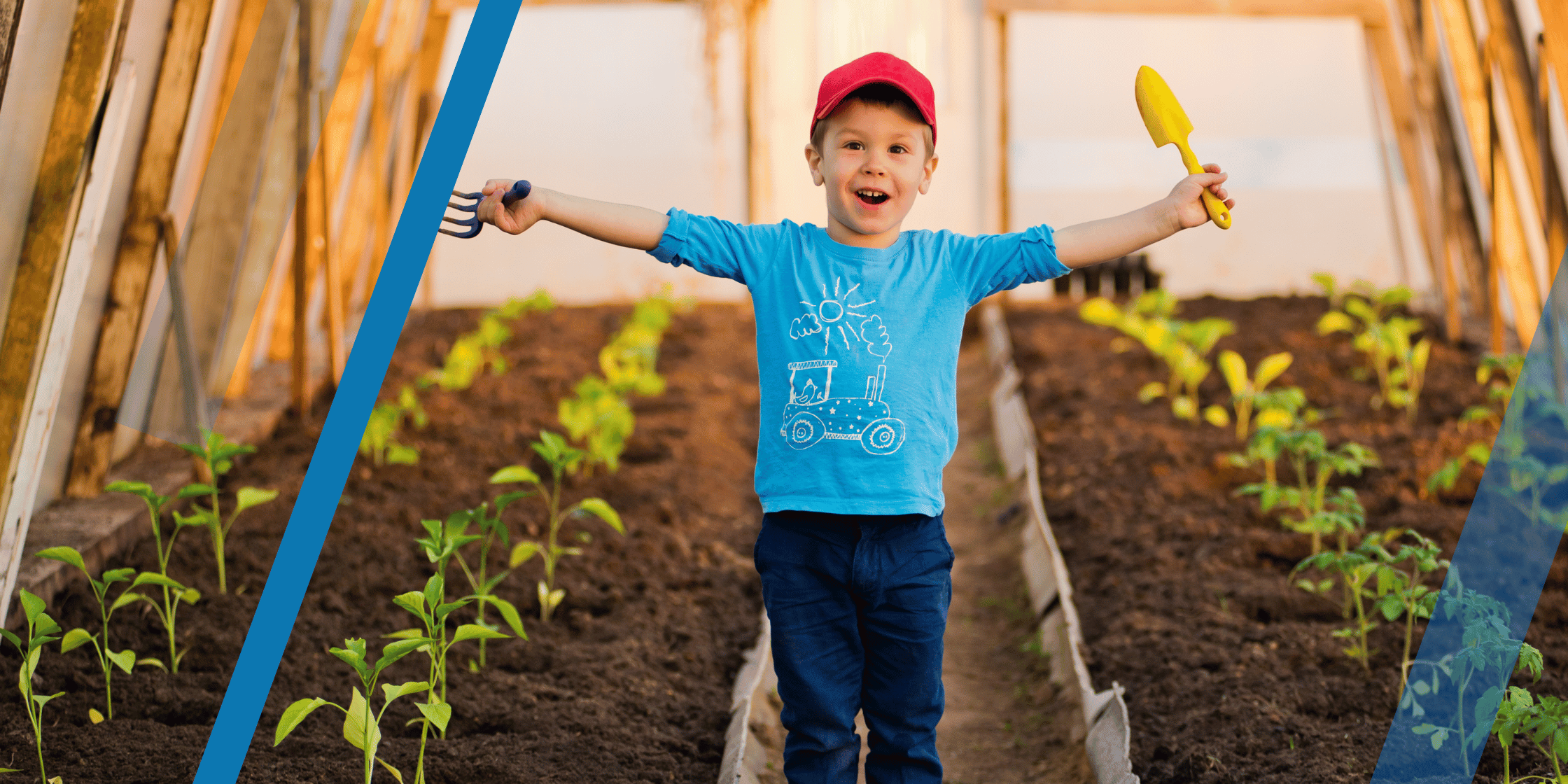 DID YOU EVER PLANT A SEED AS A CHILD | LeBrun Advisory Group | Rich LeBrun DID YOU EVER PLANT A SEED AS A CHILD | LeBrun Advisory Group | Rich LeBrun